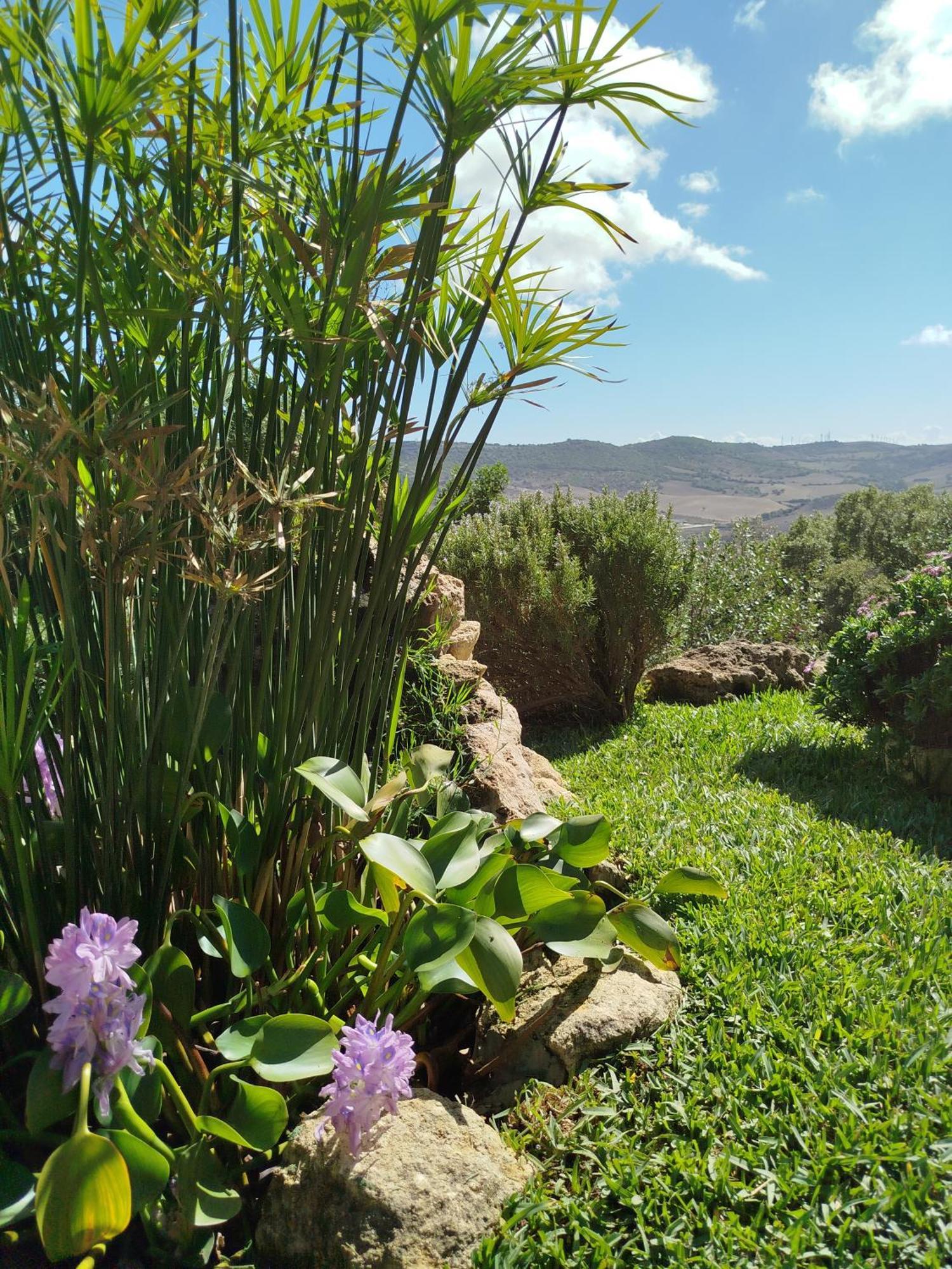 Casa Montecote Eco Casa de camp Vejer de la Frontera